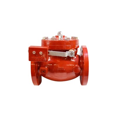 8" Check Valve with Outside L/W