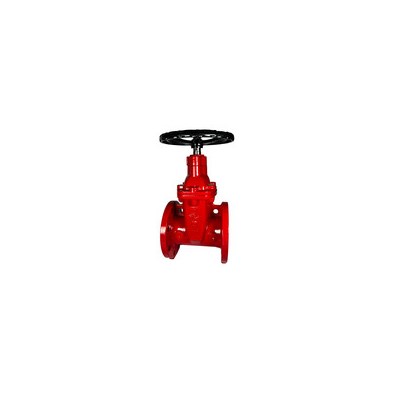 2-1/2" FL x FL Gate Valve