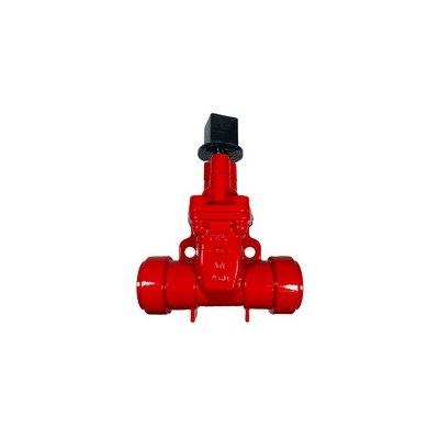 2" RT x RT Gate Valve