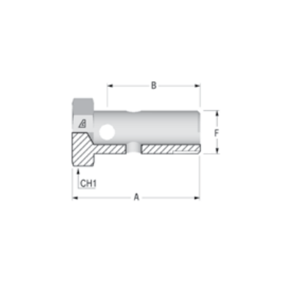 BSP BOLT 1/4"