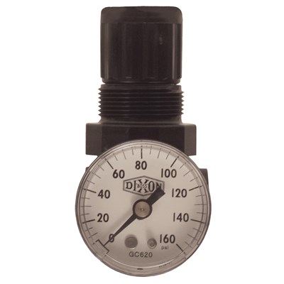 1/4 MINI REGULATOR W/GAUGE