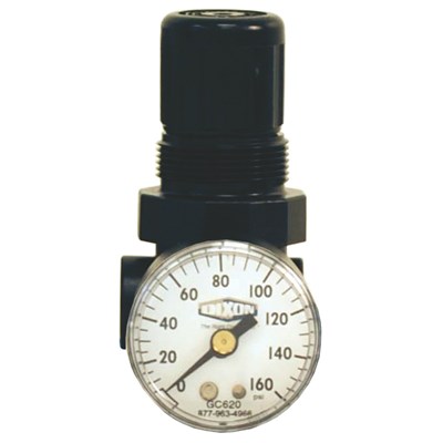 1/4 MINI WATER REGULATOR W/GAUGE