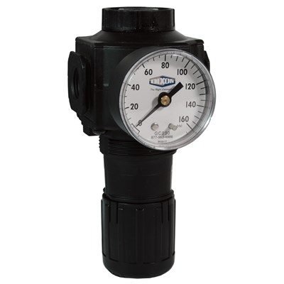 1/2 REGULATOR W/GAUGE