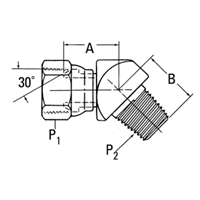 Adapter NPSM-SWSDE45-F.1x1NPTF